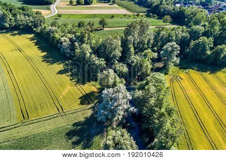 Le Rhin Tortu, a small river in the south of Strasbourg - Alsace, France