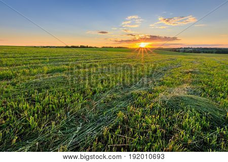 Sunset At Cultivated Land In The Countryside On A Summer.