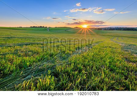 Sunset At Cultivated Land In The Countryside On A Summer.