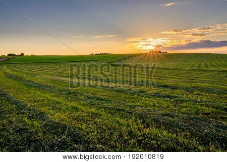 Sunset At Cultivated Land In The Countryside On A Summer.