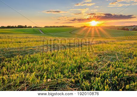 Sunset At Cultivated Land In The Countryside On A Summer.