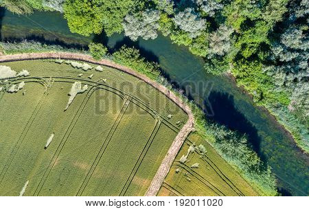 Le Rhin Tortu, a small river in the south of Strasbourg - Alsace, France