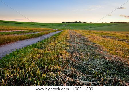 Road Through Cultivating The Land In The Countryside.