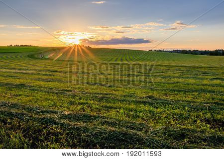Sunrise At Cultivated Land In The Countryside On A Summer.
