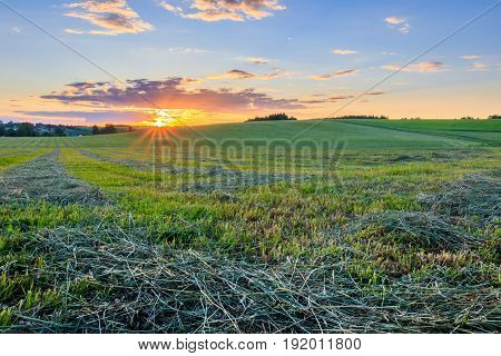 Sunrise At Cultivated Land In The Countryside On A Summer.