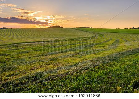 Sunrise At Cultivated Land In The Countryside On A Summer.