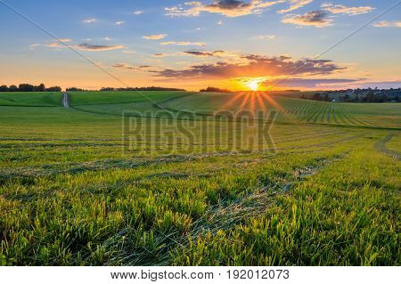 Sunset At Cultivated Land In The Countryside On A Summer.