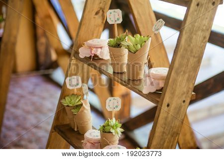 Beautifully decorated for wedding reception. Wedding decor.