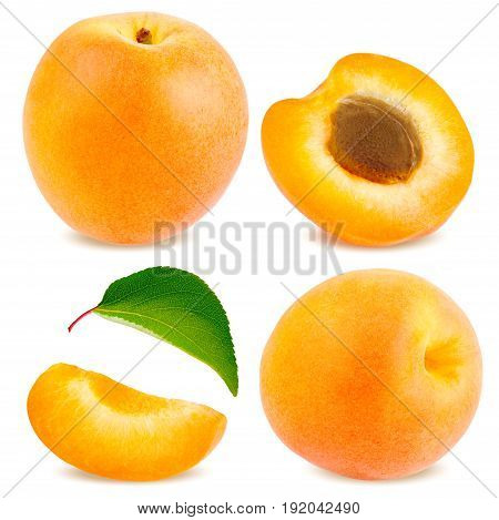 Isolated apricot. Fresh cut apricot fruits isolated on white background with clipping path.