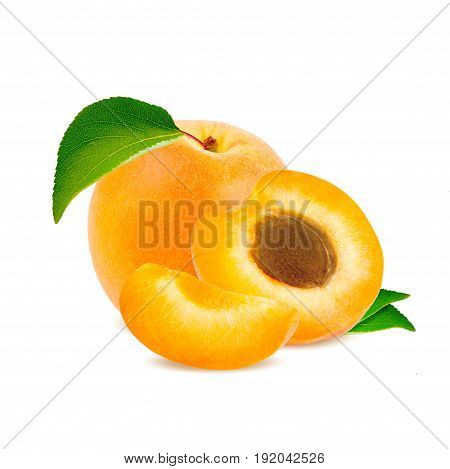 Isolated apricot. Fresh cut apricot fruits isolated on white background with clipping path.