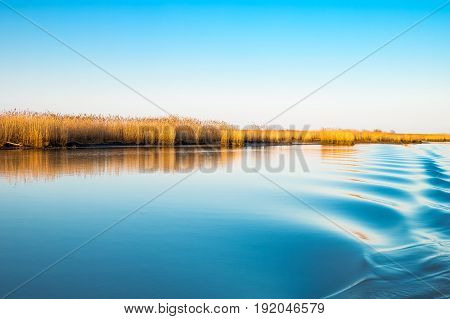 Italy Po delta park the Goro lagoon