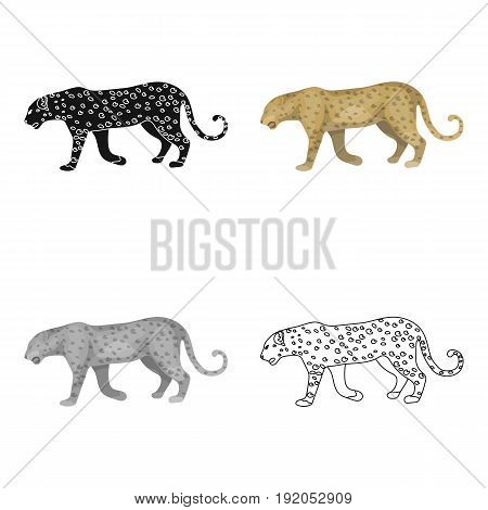 Leopard.African safari single icon in cartoon style vector symbol stock illustration .