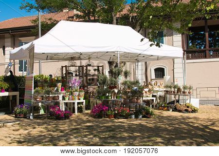 SPELLO, ITALY - JUNE 18, 2017: Floral show at the Infiorata of Spello in Umbria, Italy
