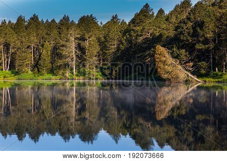 Green Forest And Blue Sky Perfectly Reflected On Dark Water Surface Of Lake Etang De La Gruere
