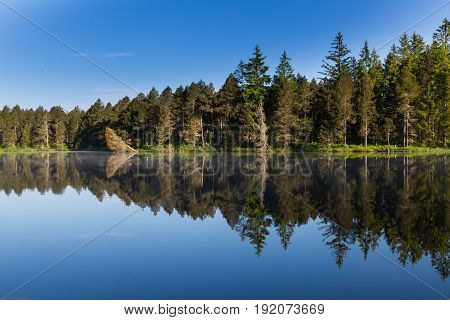Green Forest And Blue Sky Perfectly Reflected On Dark Water Surface Of Lake Etang De La Gruere