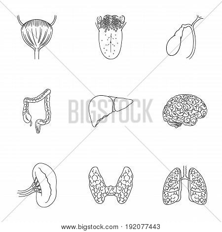 Human organs set icons in outline design. Big collection of human organs vector symbol stock illustration