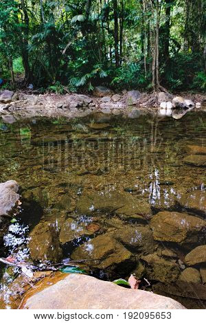 Small mountain stream in the shade of the tropical forest, Mu Koh Chang National Park, Thailand. View from the trail to the Khlong Phlu waterfall. Natural background. Selective focus