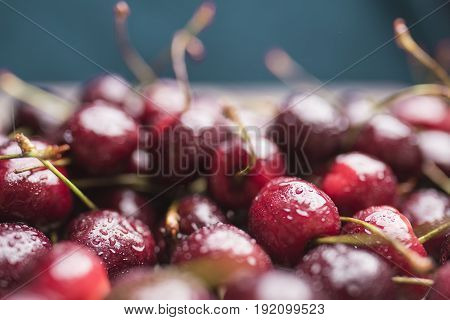 Bright ripe sweet cherry covered with water droplets close-up