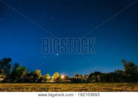 Green Trees Woods In Park Under Night Starry Sky. Night Landscape With Natural Real Glowing Stars Over Forest, Meadow At Summer Season. View From Eastern Europe At Spring Season.