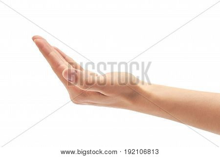 Beautiful Female Hand Prays Gesture. Isolated On White Background