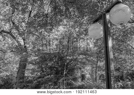 Big round lamps in a small park