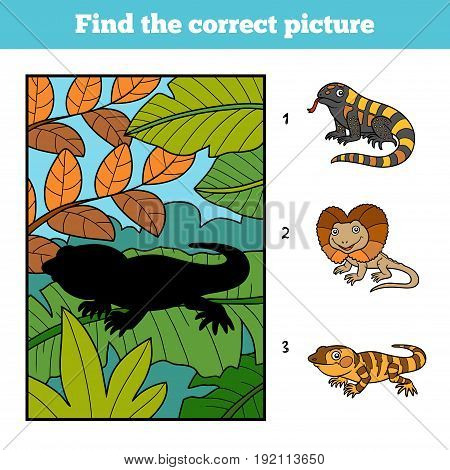 Find the correct picture, education game for children. Xenosaurus and background
