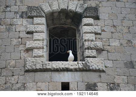 Windows In The Stone Walls Of The Fortress Mamula. Montenegro, Boka-kotor Bay.