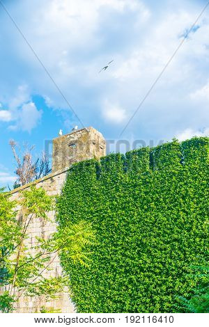 Thick Stone Walls Of The Fortress Mamula. Montenegro, Boka-kotor Bay.