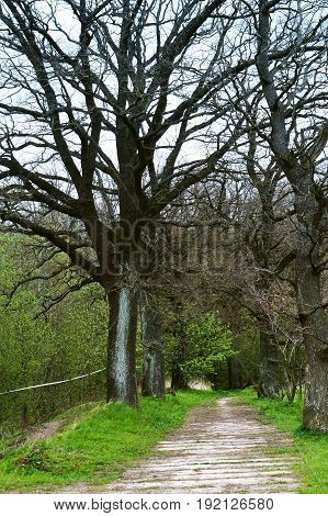 journey through uncharted roads and alleys Russia