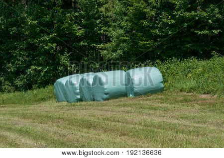 Row Of Plastic Wrapped Hay Bales On A Green Field