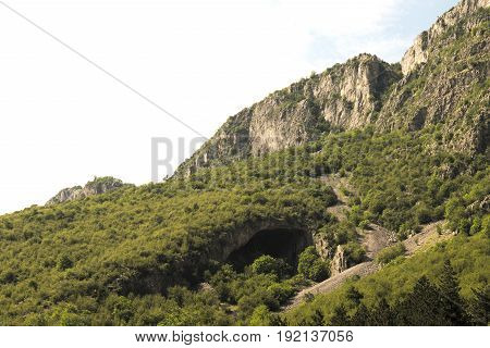 A hidden cave in the mountains sourrounded by forest on a sunny day