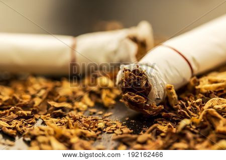 World No Tobacco Day and tobacco on white background