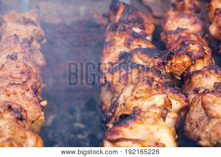 Preparation of shish kebab on coal with a lady