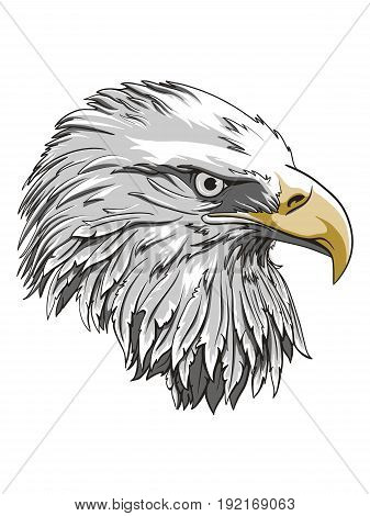 bald eagle template