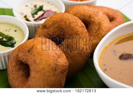 south indian food called vada sambar or sambar vada or wada, served with coconut, green and red chutney over fresg banana leaf, selective focus