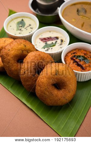 south indian food called vada sambar or sambar vada or wada, served with coconut, green and red chutney over fresg banana leaf, selective focus