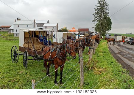Horses tied to a pasture fence at an annual Amish benefit auction in Mifflin County Pennsylvania. Sale items include quilts tools food farm machinery and antiques.