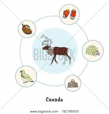 Attractive Canada. Reindeer horned male colorized doodle surrounded igloo, mountains, mittens, cone, rock ptarmigan hand drawn vector icons. Canadian nature symbols. Travel in North America concept