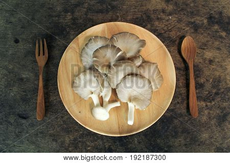 Indian Oyster, Phoenix Mushroom, Lung Oyster on wooden background