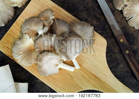 Indian Oyster, Phoenix Mushroom, Lung Oyster on wooden background