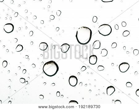 Aqua drop on white abstract background wallpaper.