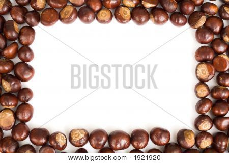 Conker grænse