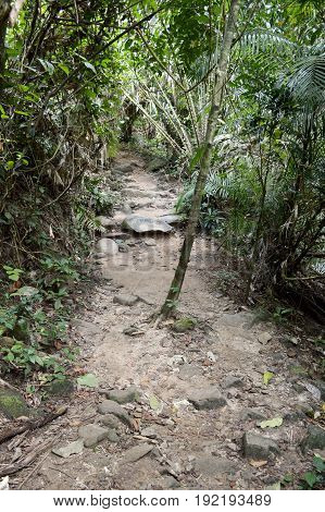 nature walkway in Khao Chamao , Rayong , Thailand