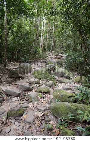 nature walkway in Khao Chamao , Rayong , Thailand