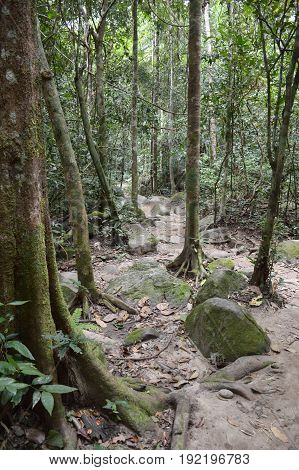 nature walkway in Khao Chamao , Rayong , Thailand