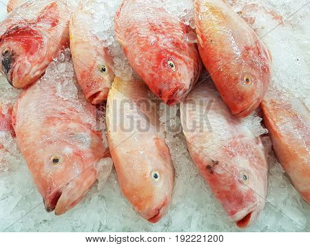 red Nile tilapia on ice background on supermarket in Thailand