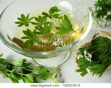 Glass of woodruff bowl, white wine with woodruff leaves
