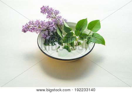 A Bouquet Of Fresh Purple Lilac In A Yellow Enameled Bowl