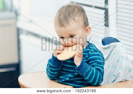 The Boy In The Kitchen Eating Cookies
