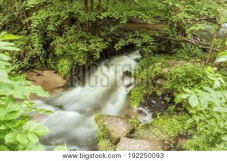Roztocze (Roztochia) National Park. Cascades on Sopot river. Czartowe Pole (Devil's Field) reservation.